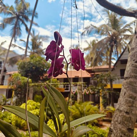 Pv Cottages - Serenity Beach Puducherry Zewnętrze zdjęcie