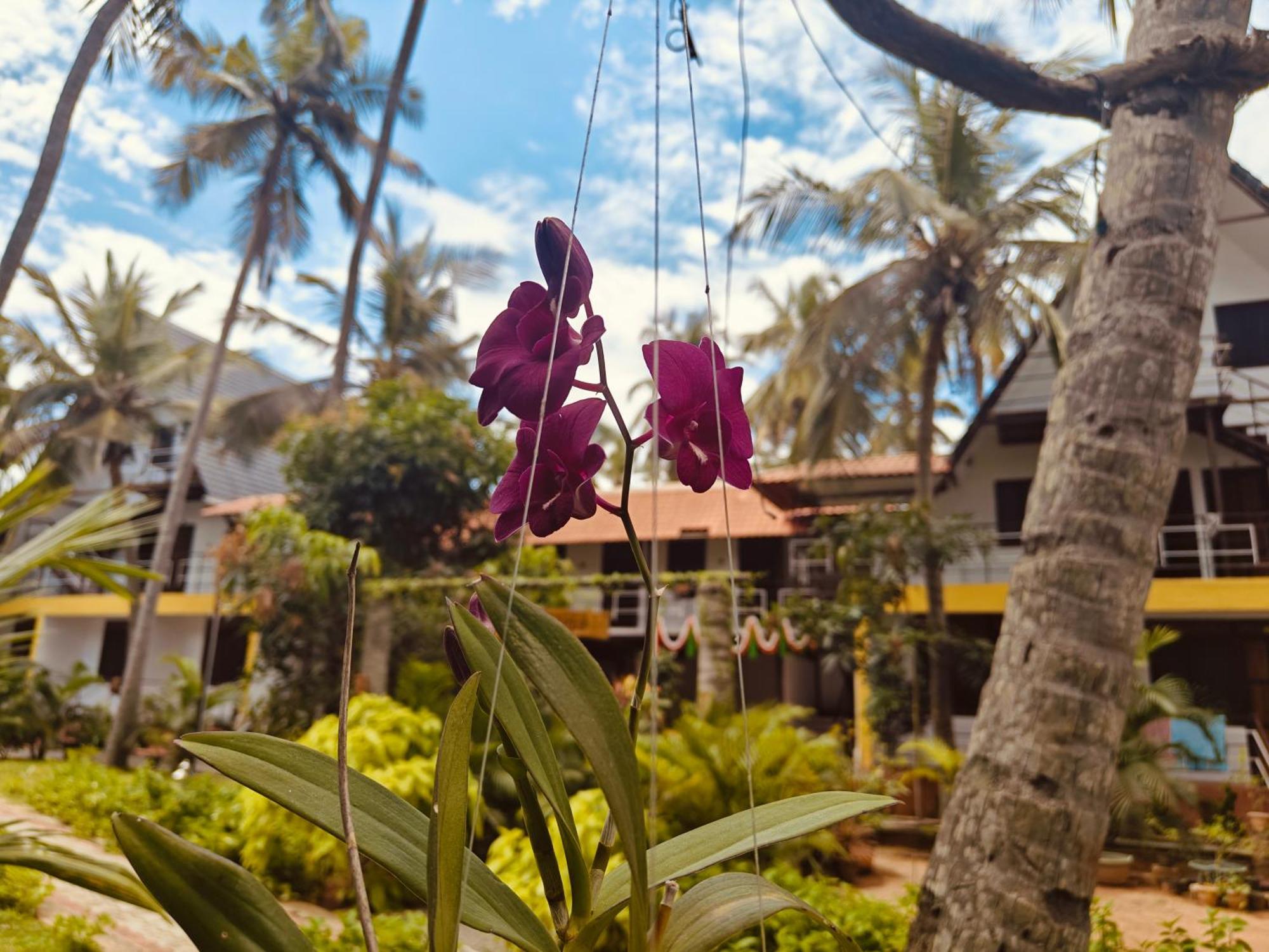 Pv Cottages - Serenity Beach Puducherry Zewnętrze zdjęcie